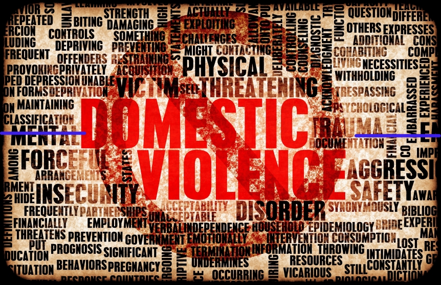 100 Domestic Violence Facts
