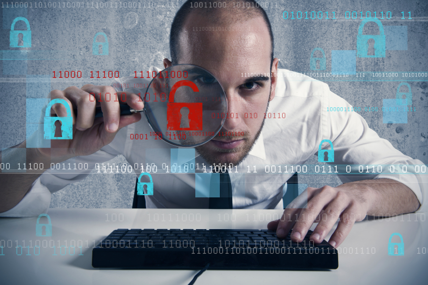 The Private Investigator